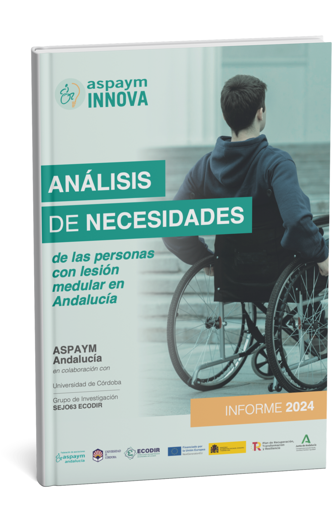 ASPAYM INNOVA - Análisis de necesidades de las personas con lesión medular en Andalucía