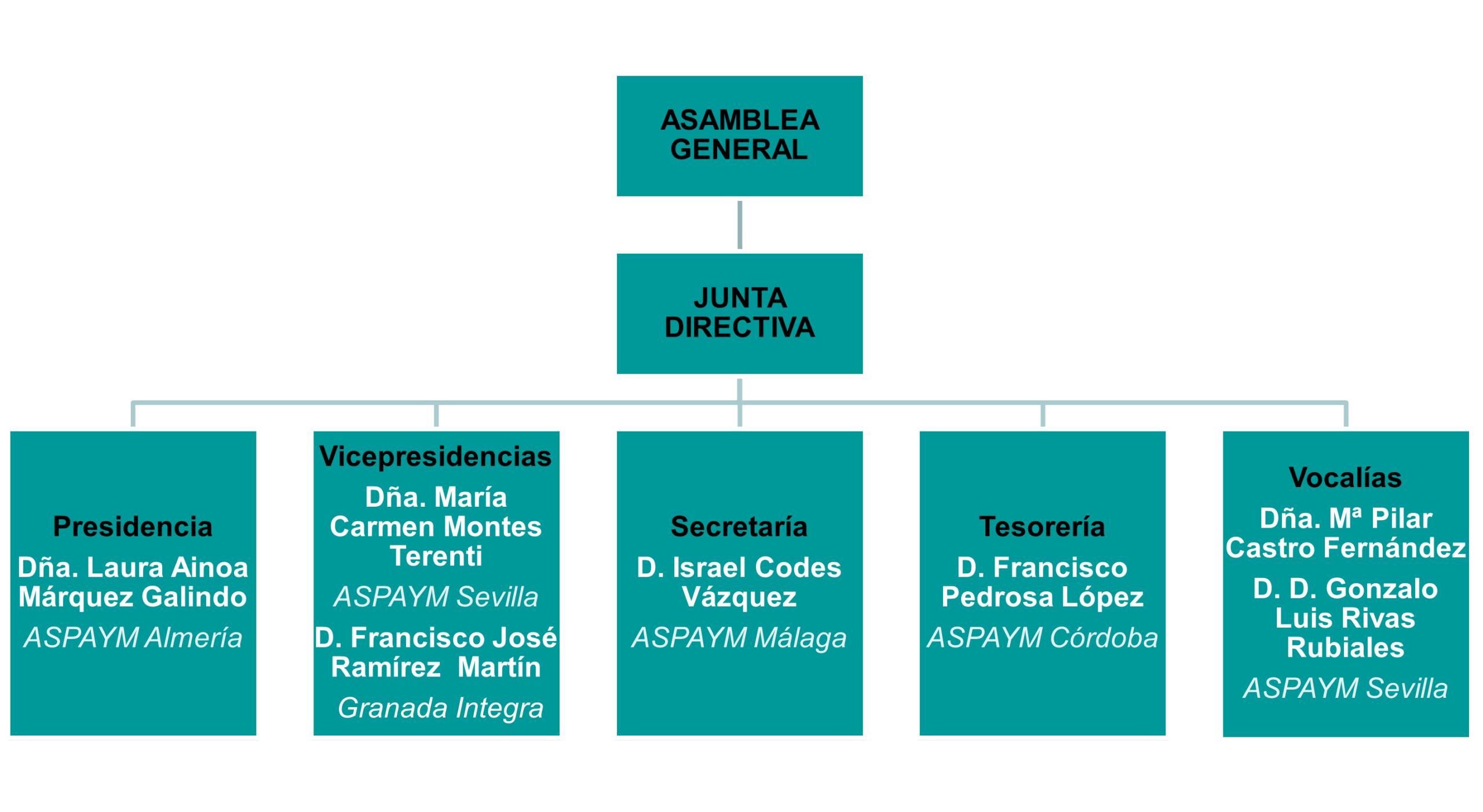 ASPAYM Andalucía – organigrama ASPAYM Andalucía - organigrama