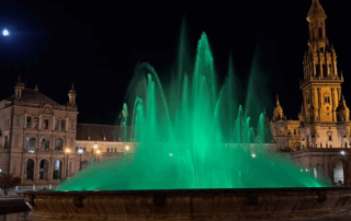 ASPAYM Andalucía Día de la Lesión Medular 2025